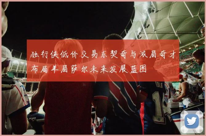 独行侠低价交易东契奇与浓眉奇才布局羊眉萨尔未来发展蓝图