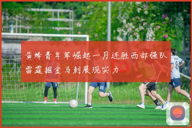 黄蜂青年军崛起一月连胜西部强队雷霆掘金马刺展现实力