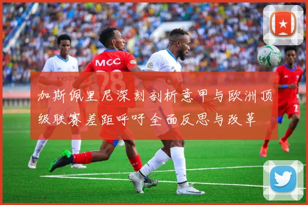 加斯佩里尼深刻剖析意甲与欧洲顶级联赛差距呼吁全面反思与改革