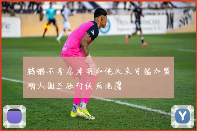 鹈鹕不考虑库明加他未来可能加盟湖人国王独行侠或老鹰